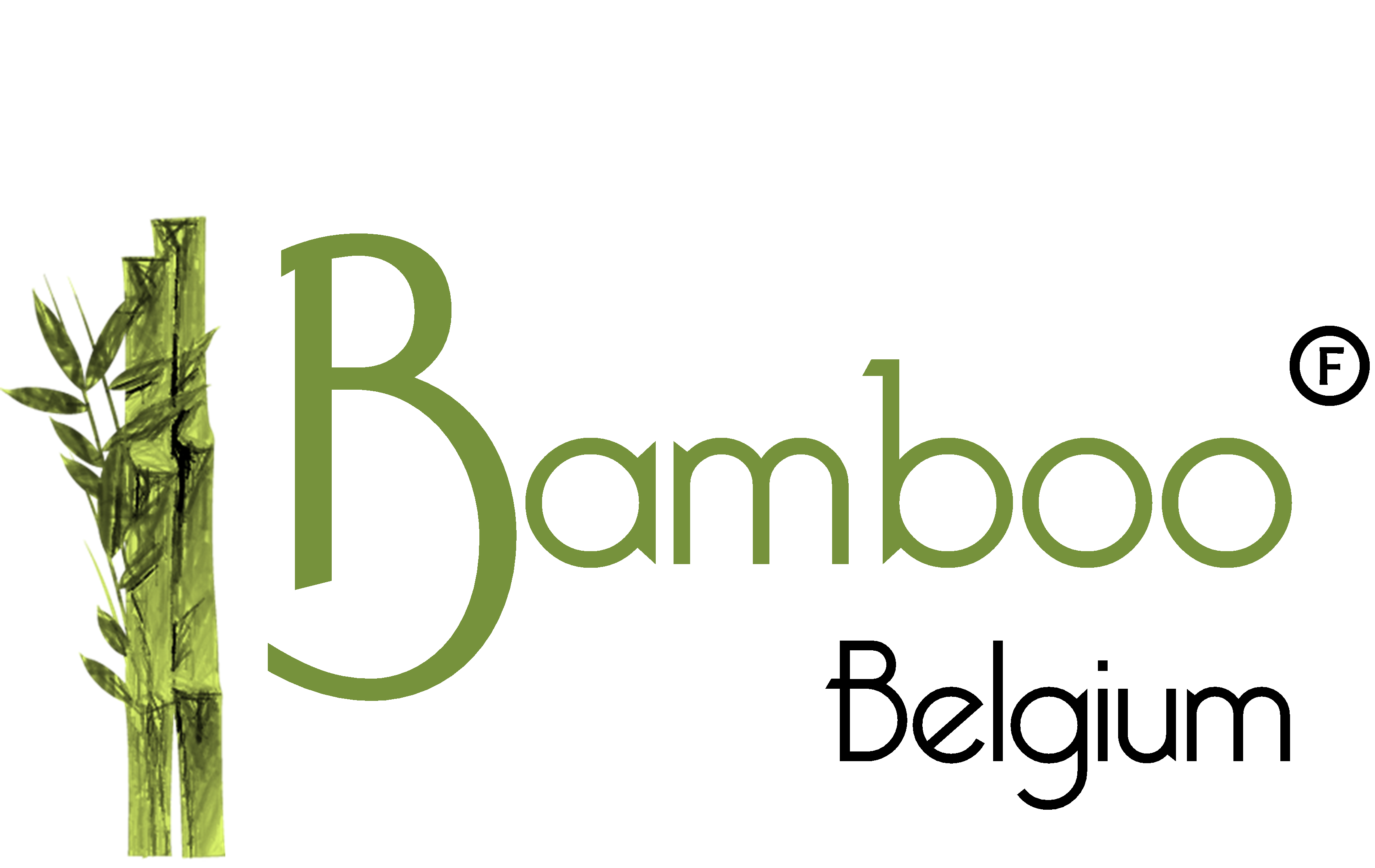 Bamboo Belgium